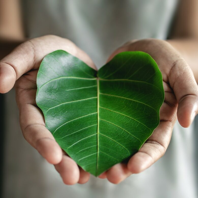 Green Energy, ESG, Renewable and Sustainable Resources. Environm Green Energy, ESG, Renewable and Sustainable Resources. Environmental and Ecology Care Concept. Close up of Hand holding a Heart Shape Green Leaf